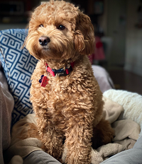 Milo